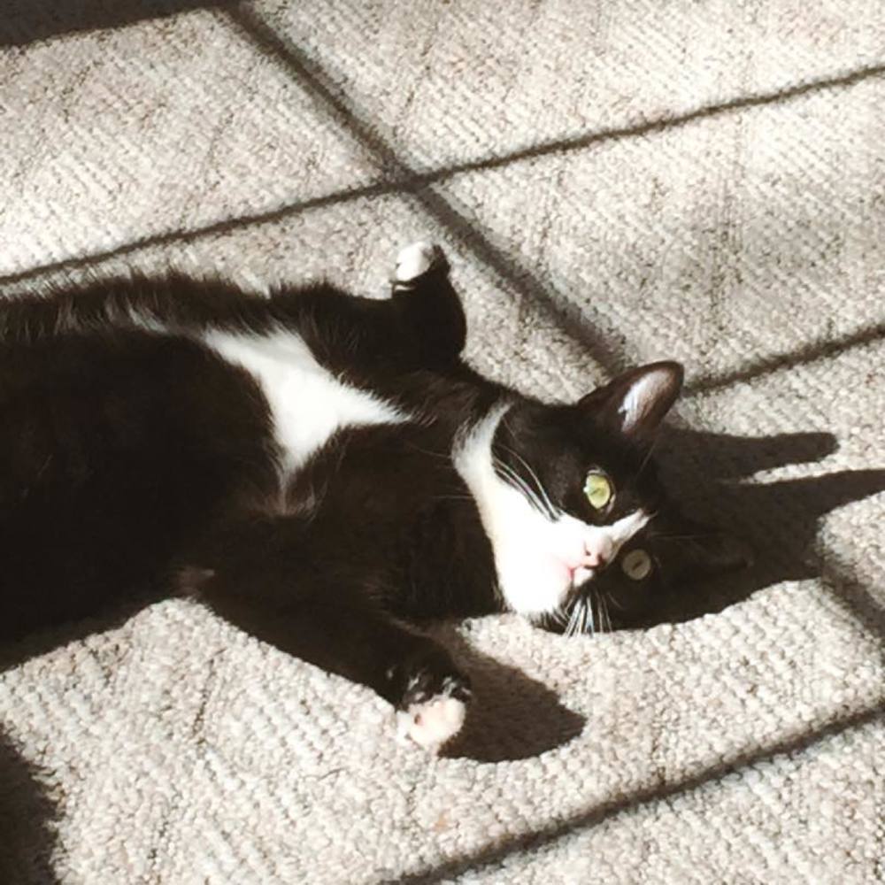 Meet your Posher, Maryann